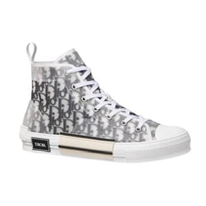 Dior b22