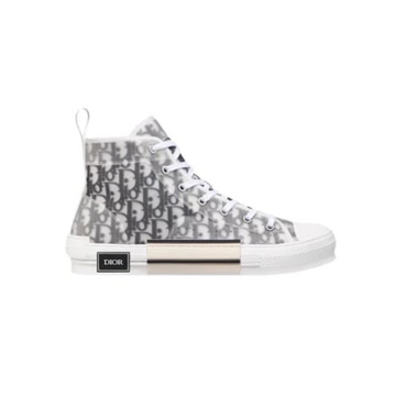 Dior b22